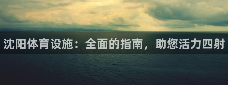 意昂平台体育：沈阳体育设施：全面的指南，助您活力四射