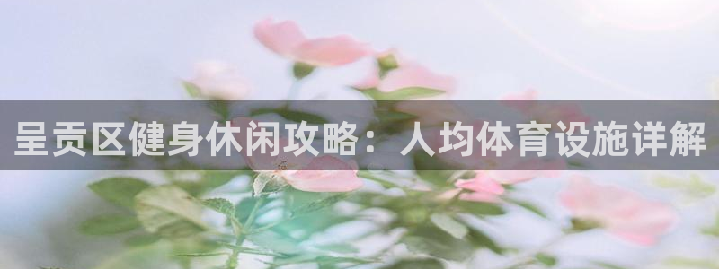 意昂3开户：呈贡区健身休闲攻略：人均体育设施详解