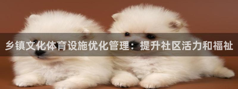 意昂体育3开户：乡镇文化体育设施优化管理：提升社区活