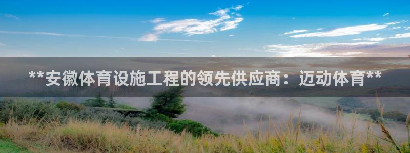意昂集团官网：**安徽体育设施工程的领先供应商：迈动