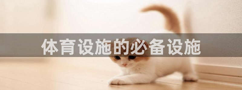 意昂体育3招商电话号码是多少啊：体育设施的必备设施