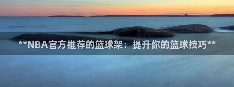 意昂体育3招商电话地址：**NBA官方推荐的篮球架：