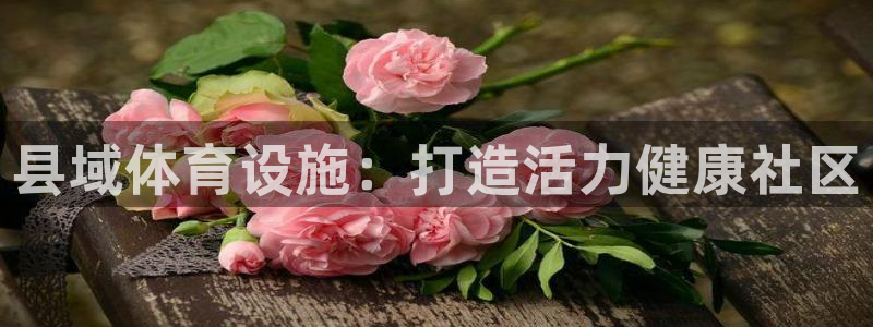 意昂体育3平台注册：县域体育设施：打造活力健康社区