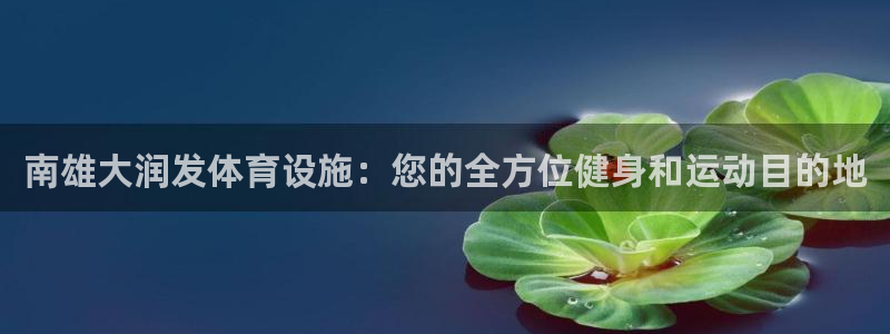 海南意昂体育3发展怎么样：南雄大润发体育设施：您的全