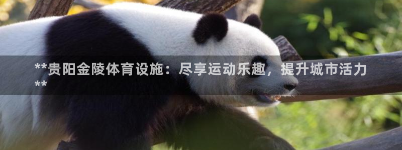 意昂体育3招商电话地址：**贵阳金陵体育设施：尽享运