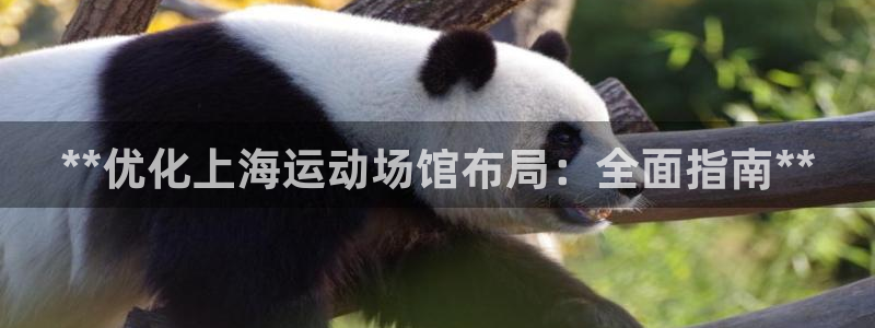 意昂3代理：**优化上海运动场馆布局：全面指南**