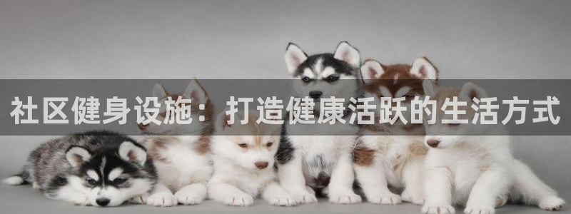 意昂体育3招商电话是多少：社区健身设施：打造健康活跃