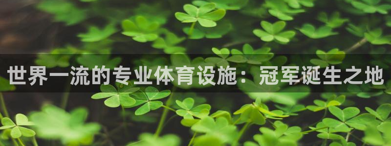 意昂体育3开户：世界一流的专业体育设施：冠军诞生之地