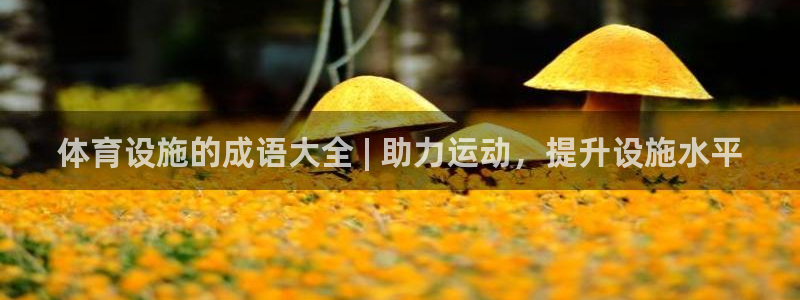意昂体育3平台注册要钱吗是真的吗：体育设施的成语大全