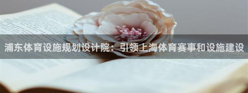 意昂体育3平台是正规平台吗安全吗：浦东体育设施规划设