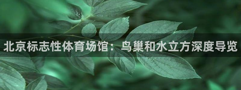 意昂3娱乐首页网站大全：北京标志性体育场馆：鸟巢和水