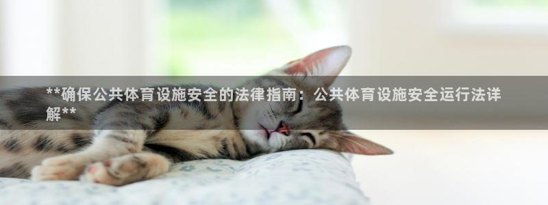 意昂3官方：**确保公共体育设施安全的法律指南：公共