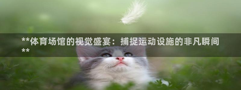 意昂3集团logo：**体育场馆的视觉盛宴：捕捉运动