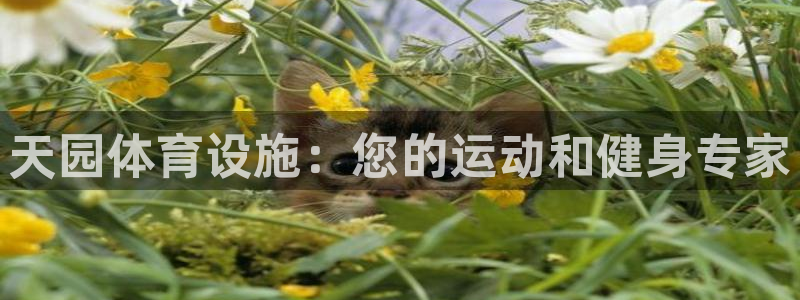 意昂体育3娱乐：天园体育设施：您的运动和健身专家
