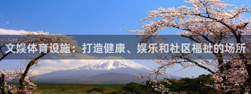 意昂体育3平台注册要钱吗安全吗：文娱体育设施：打造健