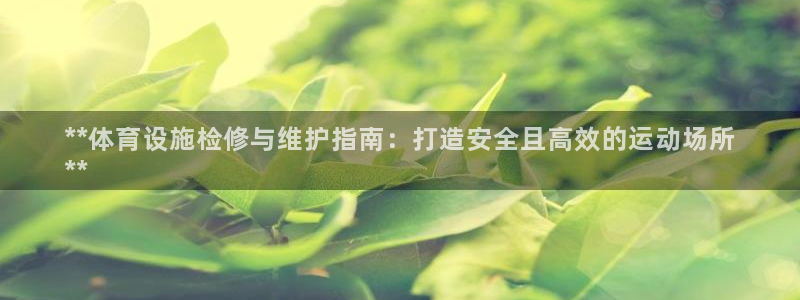 意昂体育3招商电话地址：**体育设施检修与维护指南：