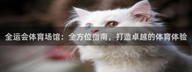 意昂3娱乐40996：全运会体育场馆：全方位指南，打