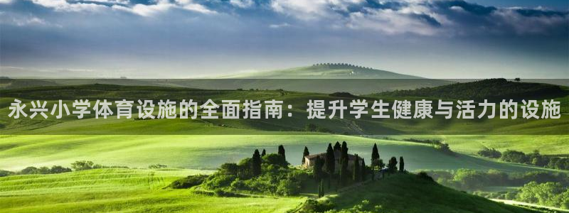 意昂体育3平台注册要钱吗：永兴小学体育设施的全面指南