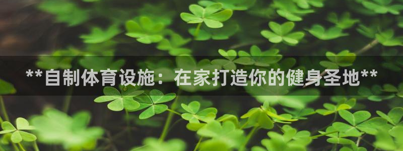 意昂集团官网：**自制体育设施：在家打造你的健身圣地