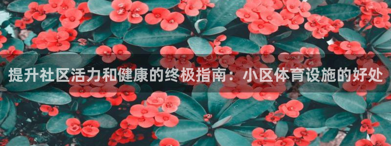 意昂3集团简介：提升社区活力和健康的终极指南：小区体