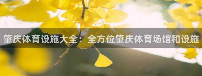 意昂3新能源：肇庆体育设施大全：全方位肇庆体育场馆和