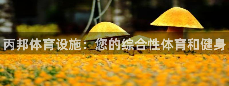 意昂体育3招商电话是多少啊：丙邦体育设施：您的综合性