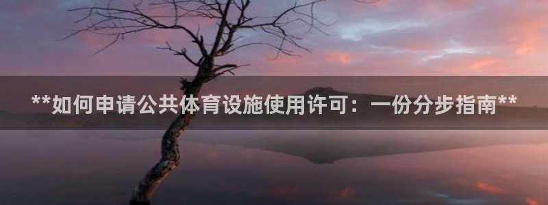 意昂平台体育：**如何申请公共体育设施使用许可：一份