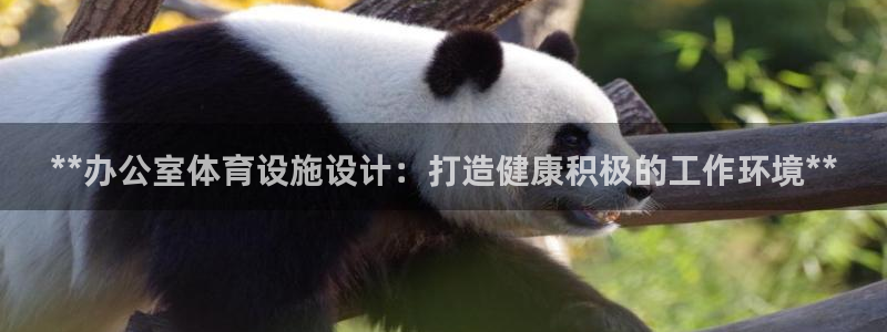 意昂3娱乐平台：**办公室体育设施设计：打造健康积极