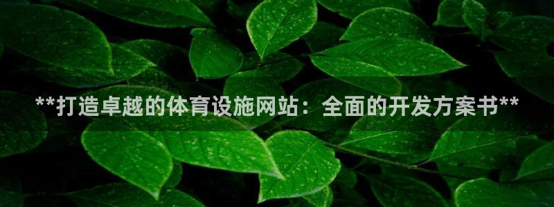 意昂体育3注册：**打造卓越的体育设施网站：全面的开
