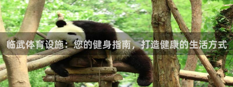 意昂体育3平台假的吗是真的吗吗：临武体育设施：您的健
