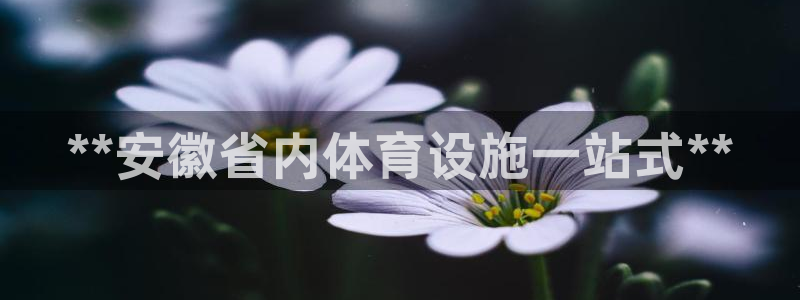 意昂3科技：**安徽省内体育设施一站式**