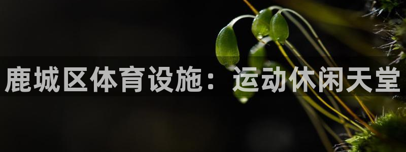 意昂3集团logo：鹿城区体育设施：运动休闲天堂