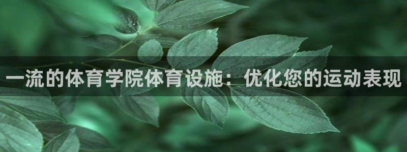 意昂3娱乐平台：一流的体育学院体育设施：优化您的运动