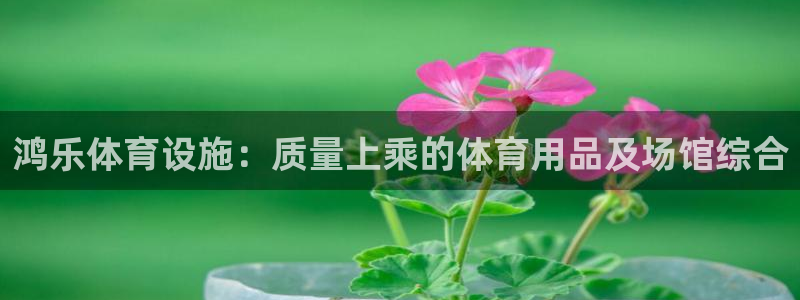 海南意昂体育3：鸿乐体育设施：质量上乘的体育用品及场