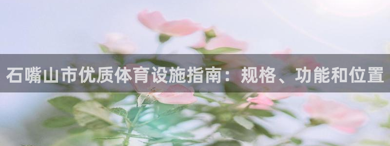 意昂3娱乐网站：石嘴山市优质体育设施指南：规格、功能