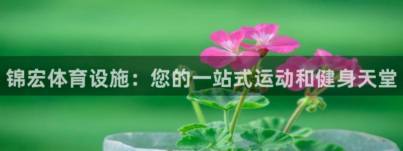 意昂3集团官网网址：锦宏体育设施：您的一站式运动和健