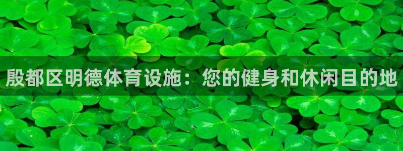 意昂体育3平台假的吗是真的吗吗：殷都区明德体育设施：