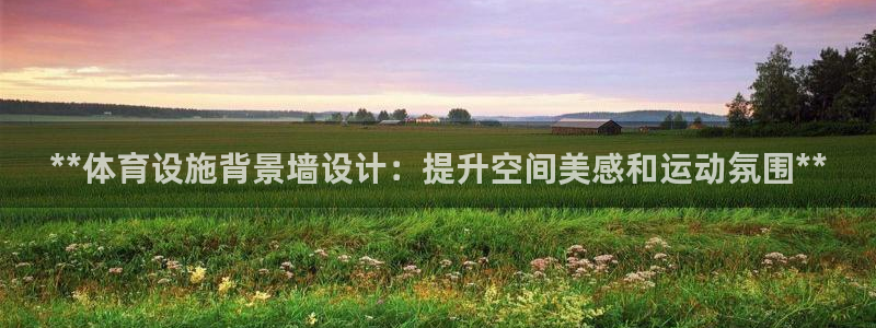 意昂体育3招商电话是多少：**体育设施背景墙设计：提
