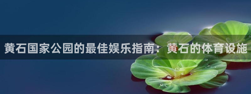 意昂体育3平台注册要钱吗安全吗：黄石国家公园的最佳娱