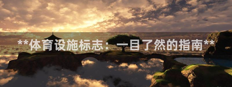 意昂体育3注册：**体育设施标志：一目了然的指南**
