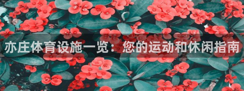 意昂体育3平台是正规平台吗知乎：亦庄体育设施一览：您