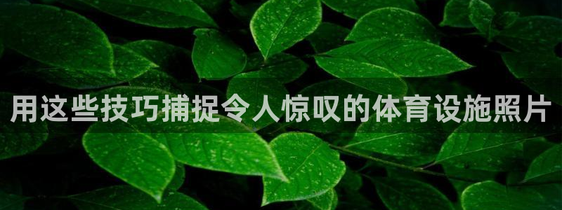 意昂体育3招商电话地址查询：用这些技巧捕捉令人惊叹的