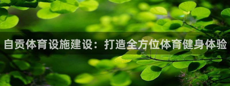 意昂体育3平台注册要钱吗：自贡体育设施建设：打造全方