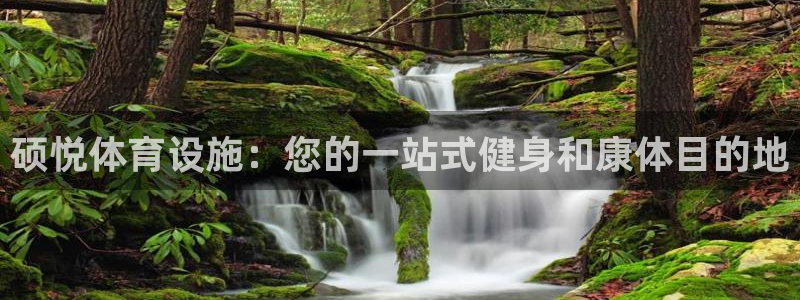 意昂3集团logo：硕悦体育设施：您的一站式健身和康