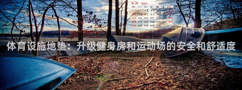 意昂体育3招商电话是多少号码：体育设施地垫：升级健身