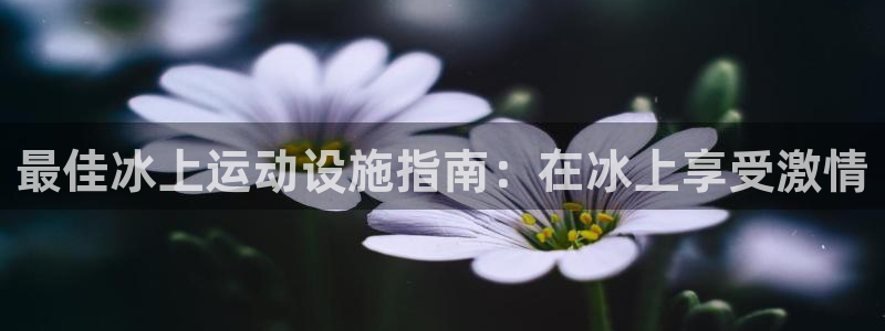意昂体育3招商电话是多少啊：最佳冰上运动设施指南：在