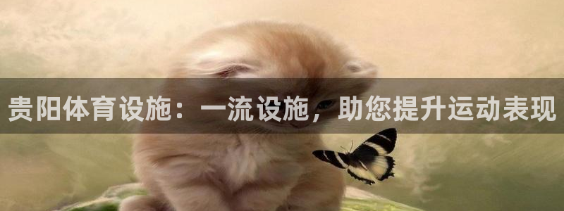 意昂3娱乐首页网站大全：贵阳体育设施：一流设施，助您