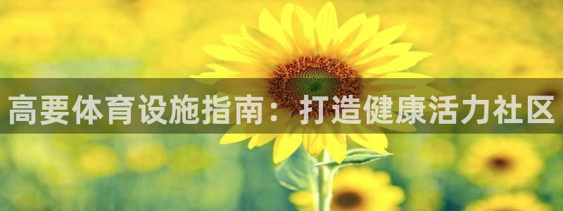 意昂体育3招商：高要体育设施指南：打造健康活力社区