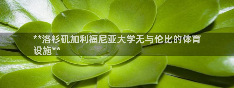 意昂3娱乐平台：**洛杉矶加利福尼亚大学无与伦比的体