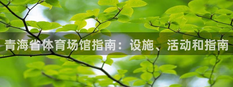 意昂体育3招商电话号码查询是多少：青海省体育场馆指南